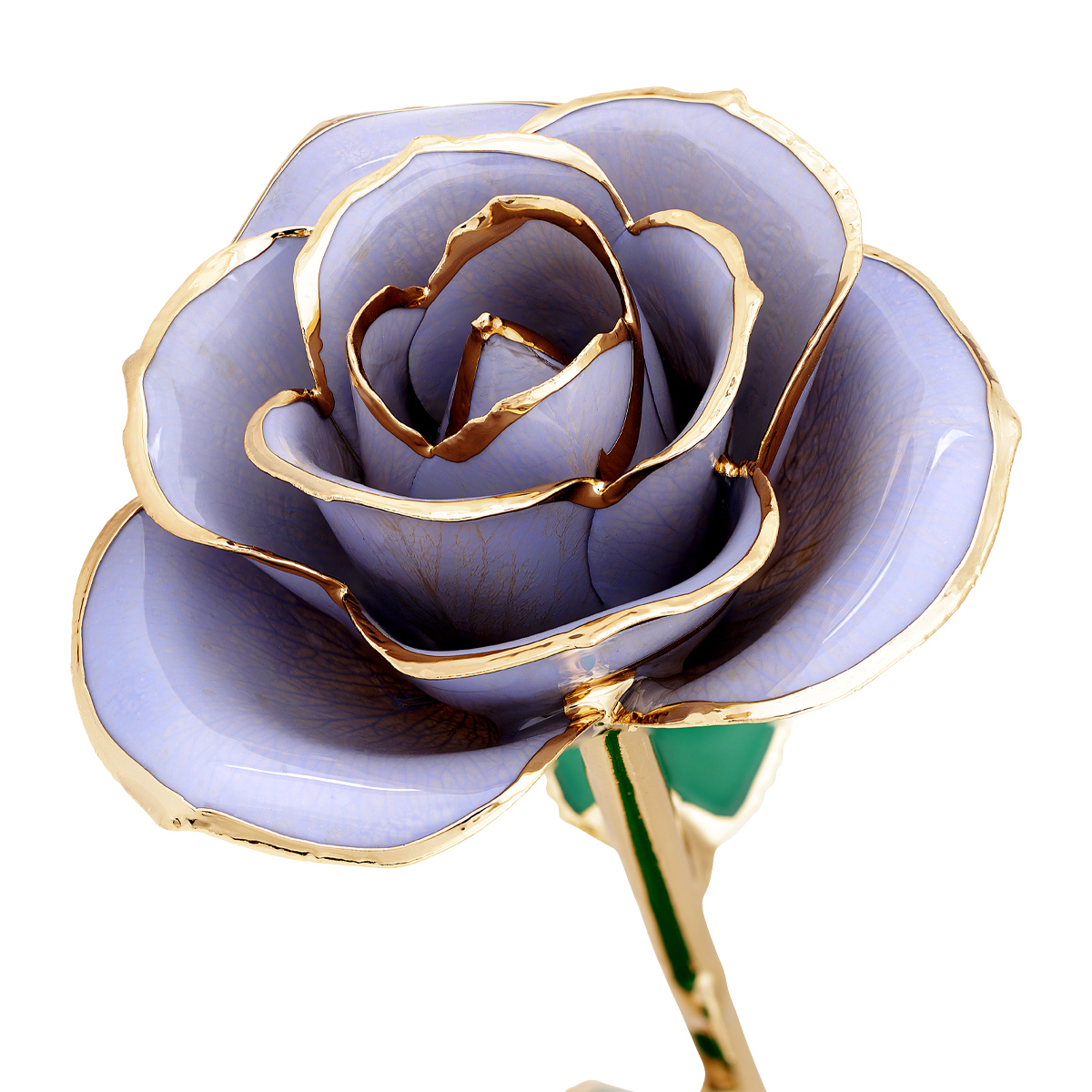 24K Gold Dipped Sweet Lilac Rose