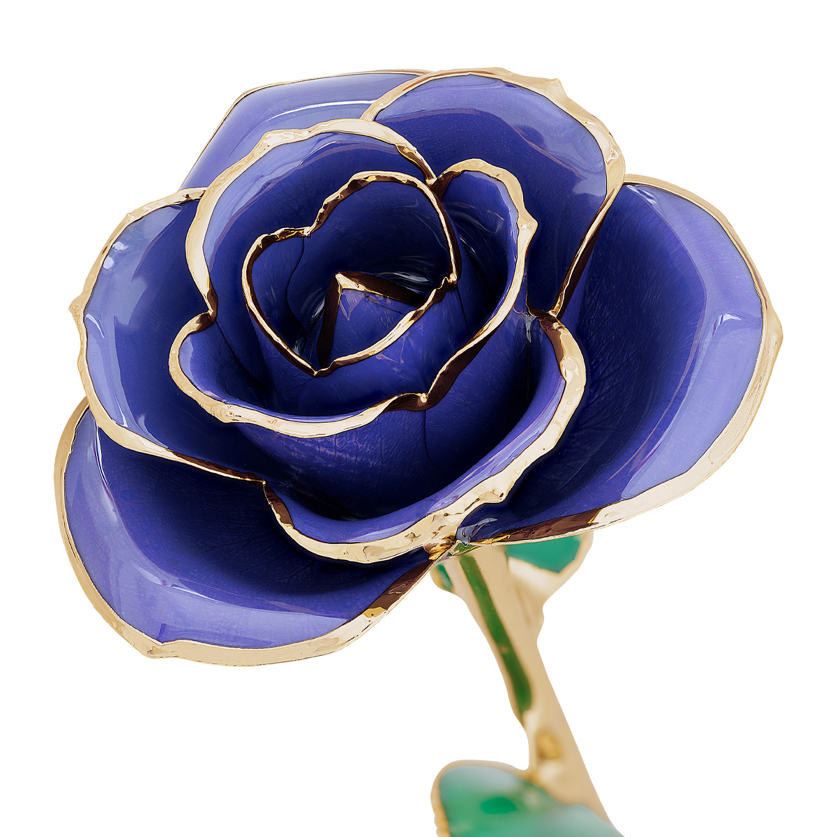 24K Gold Dipped Imperial Purple Rose
