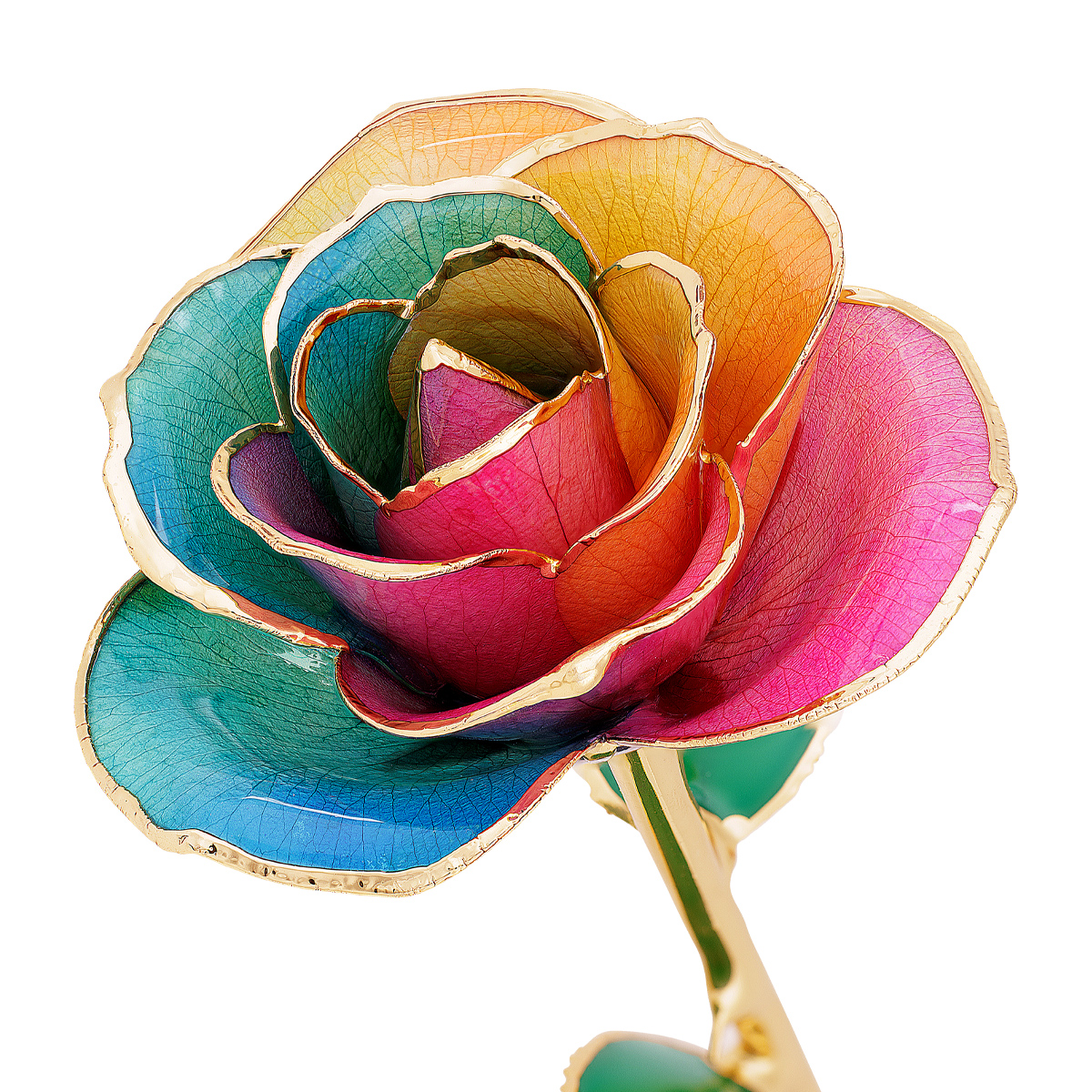 24K Gold Dipped Boho Beauty Rose