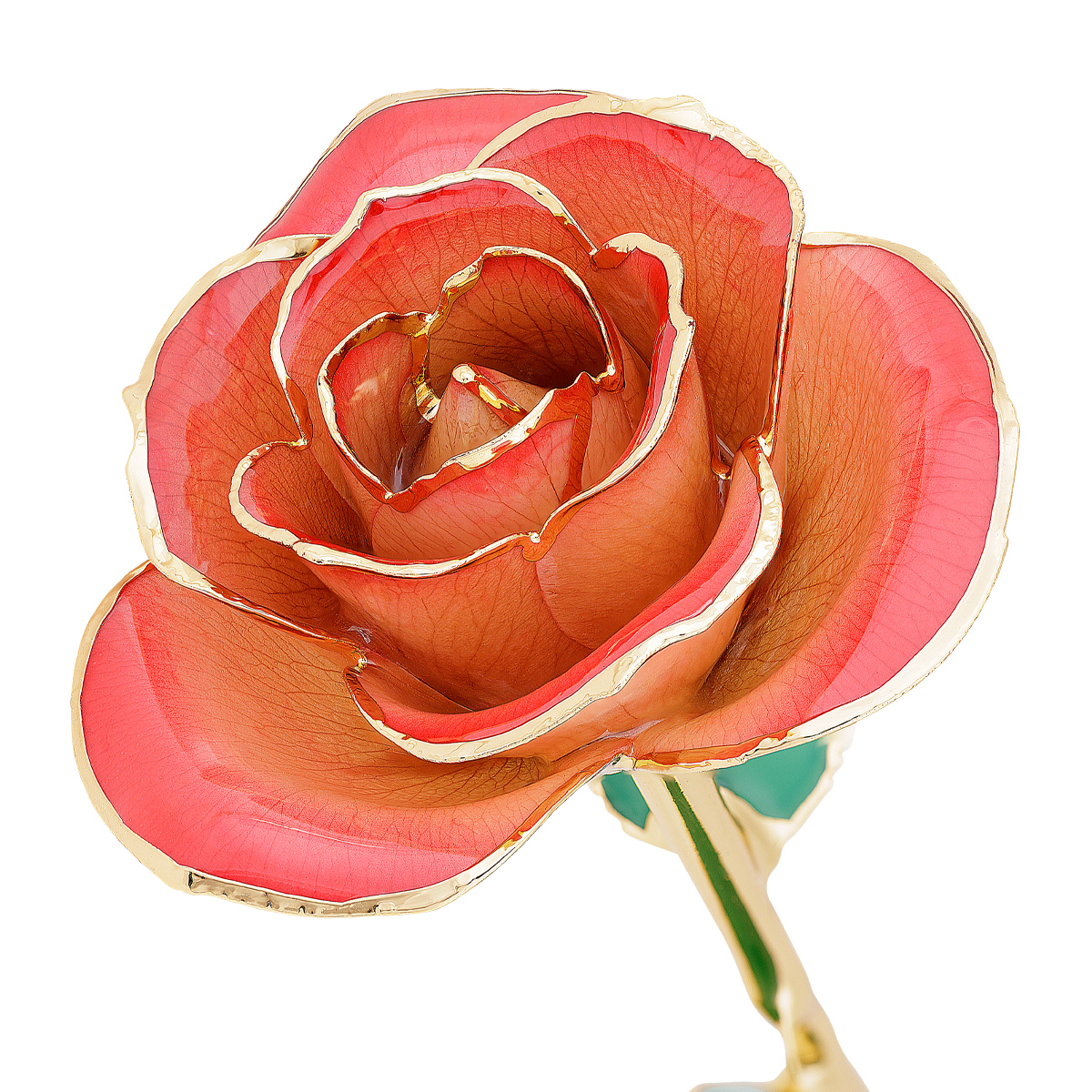 24K Gold Dipped Blushed Red Rose